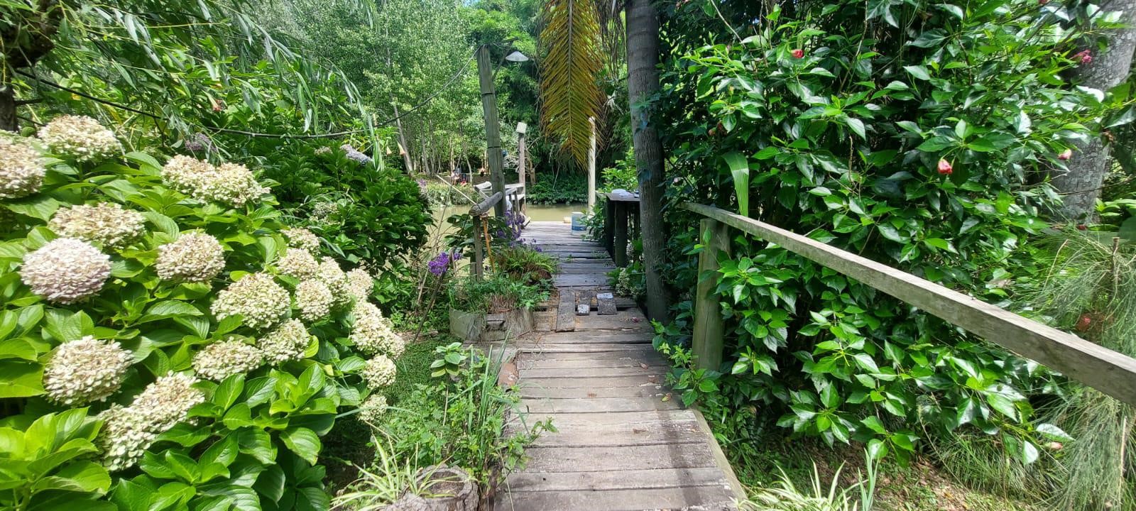 image 31