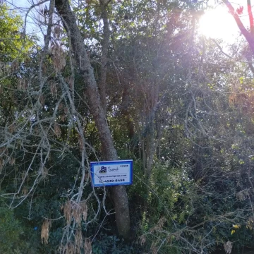 Terreno Venta en Rio / Arroyo Estudiantes (3  Lotes)
