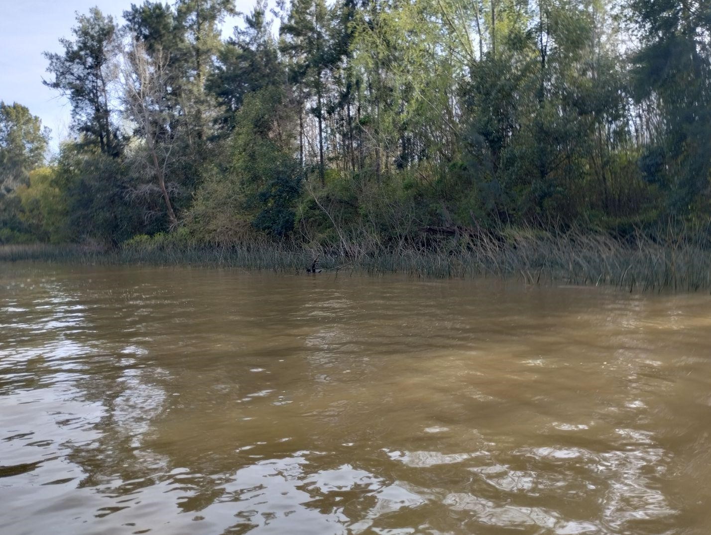image 14