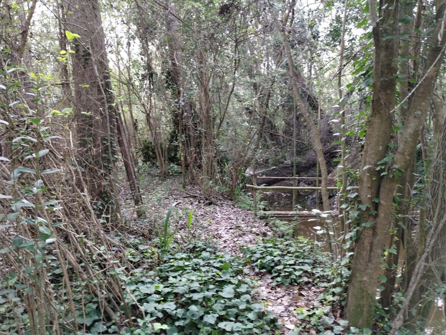 image 16