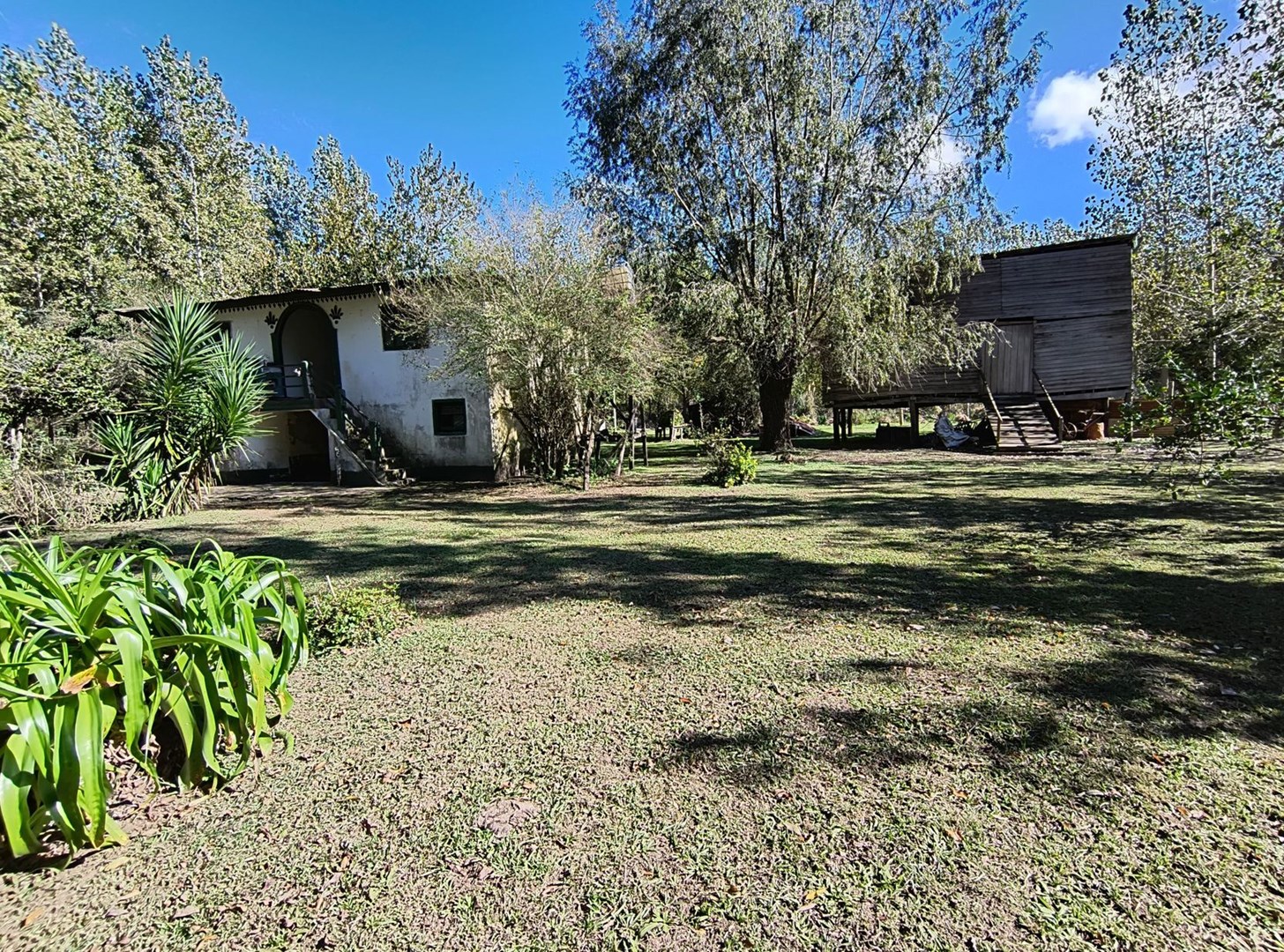 image 14