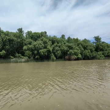 Terreno Venta en Rio Paraná Miní Loteo Marisol  Quinta Parcela 2 a