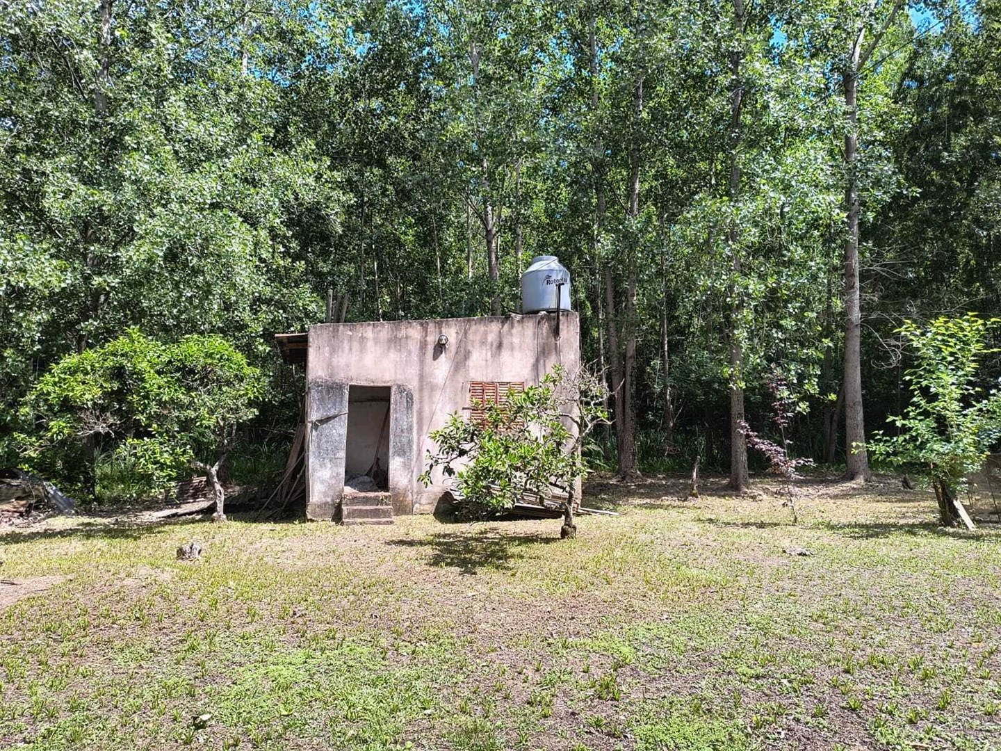 image 12