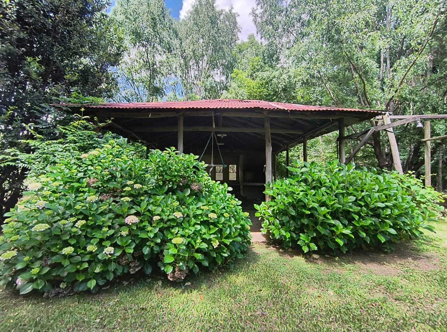 image 13
