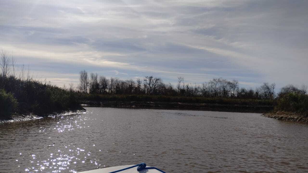 image 13