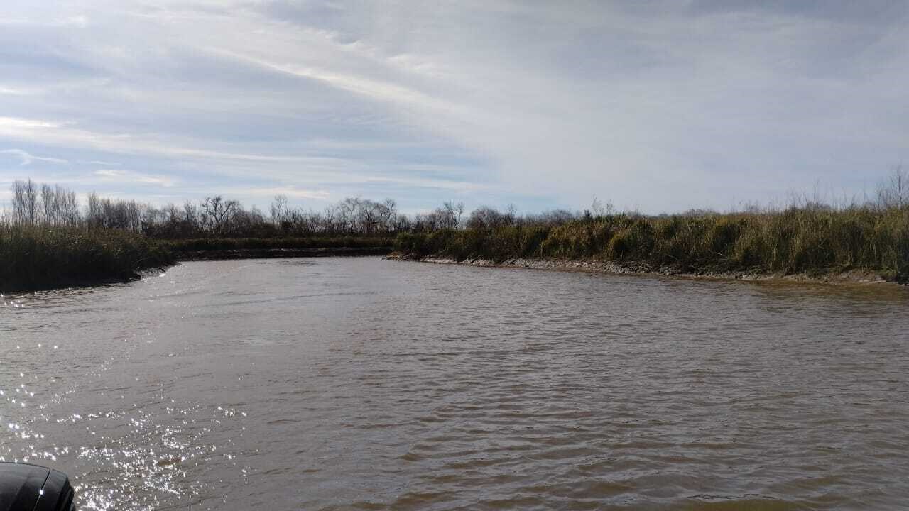 image 14