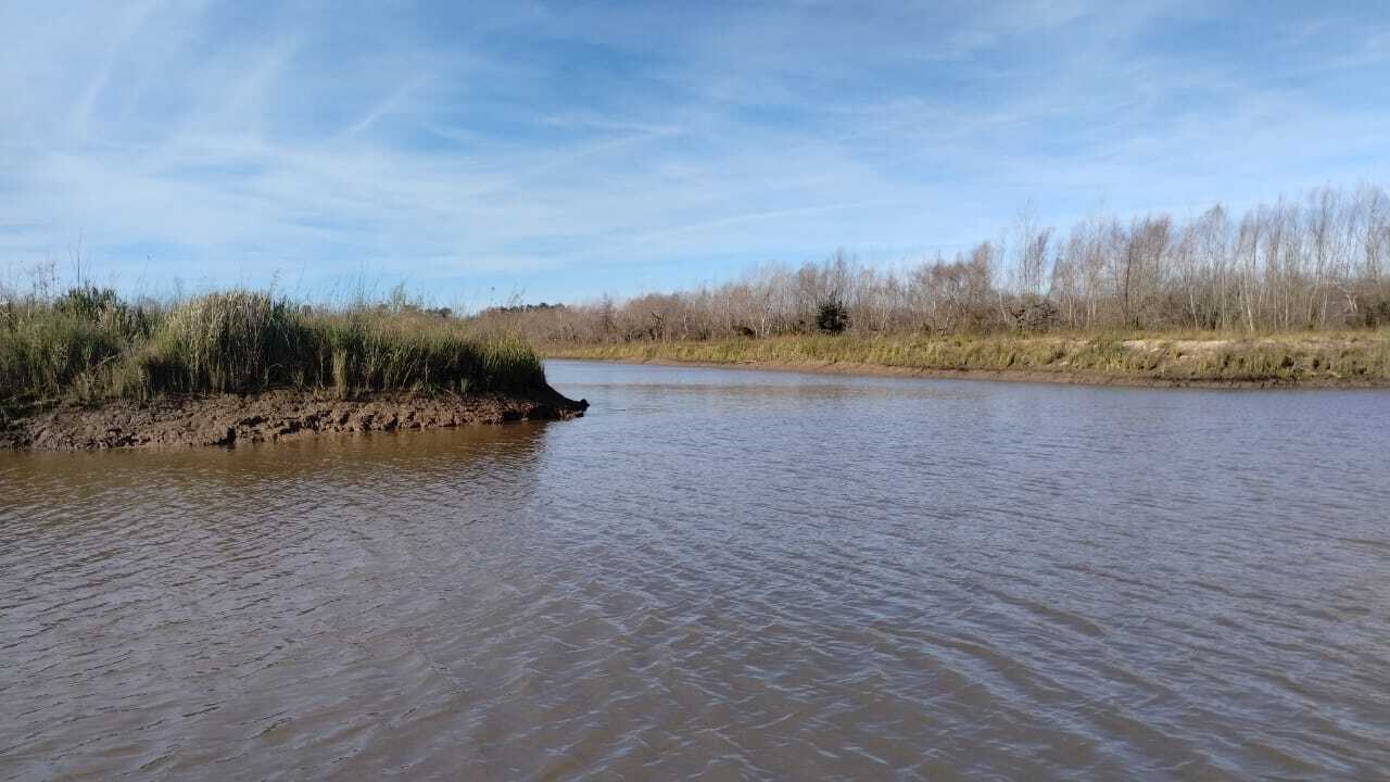 image 18