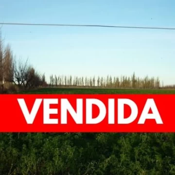Finca de 105 has en Cañada Seca - Nogales y pasturas