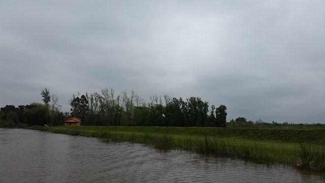 image 14