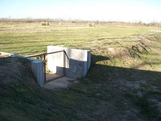 image 23