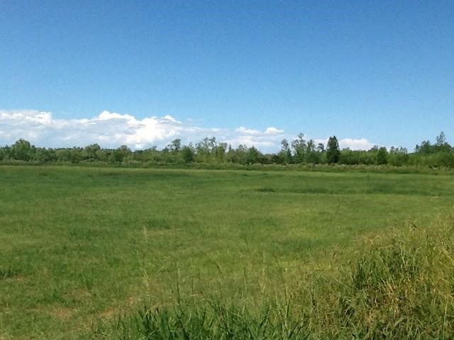 image 33