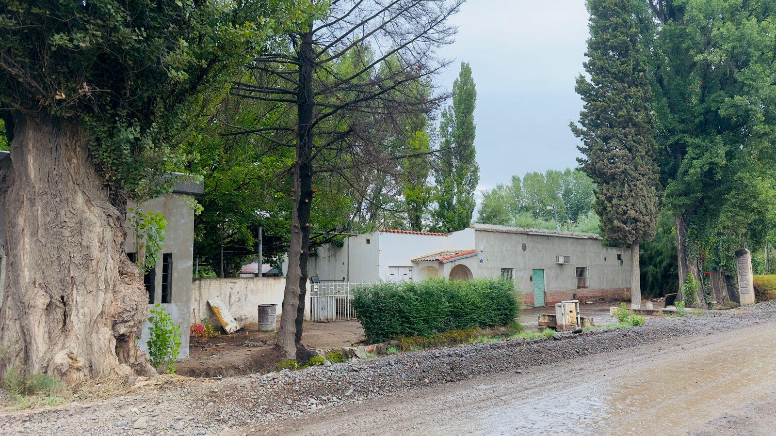 image 13