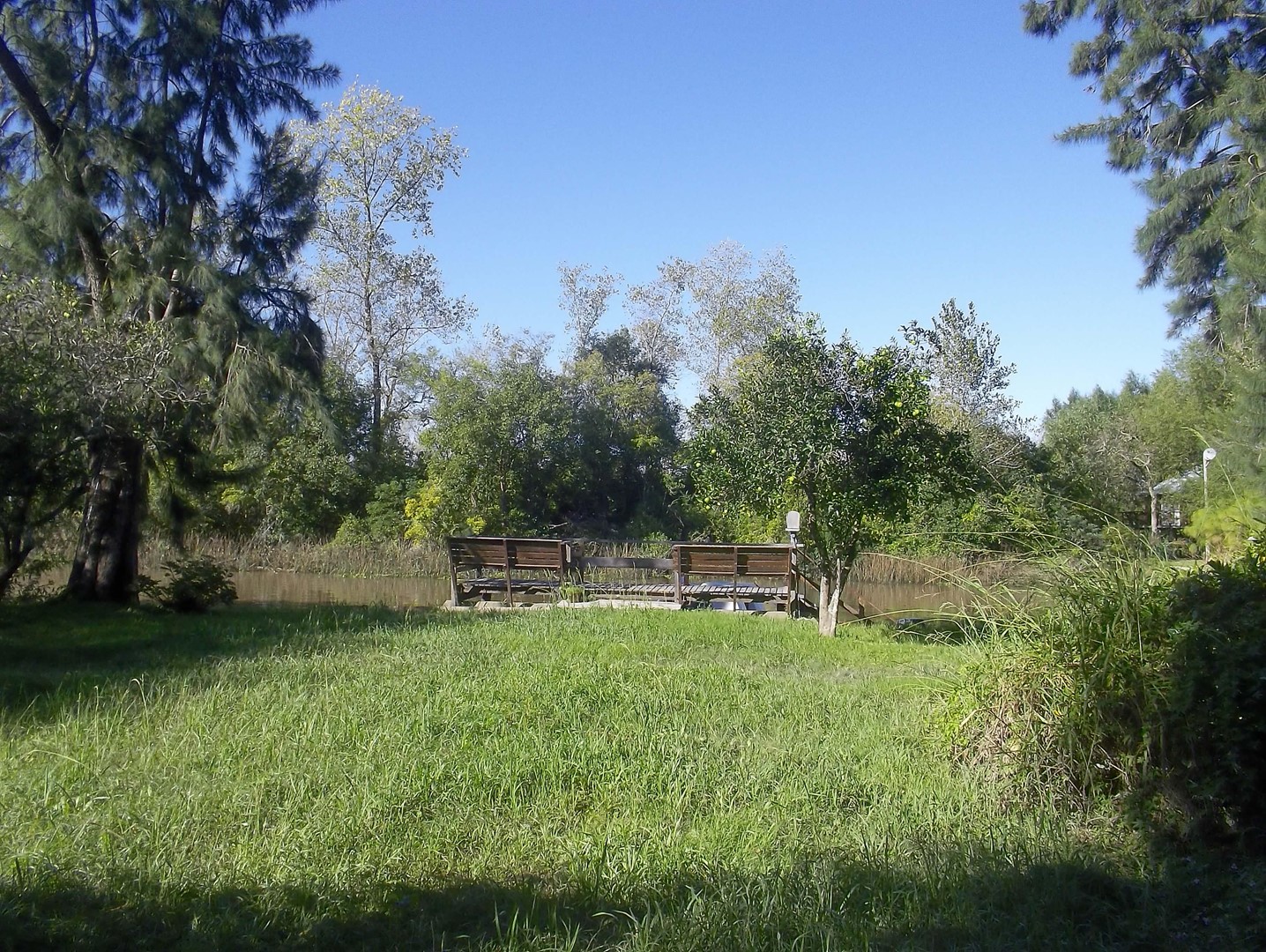 image 17
