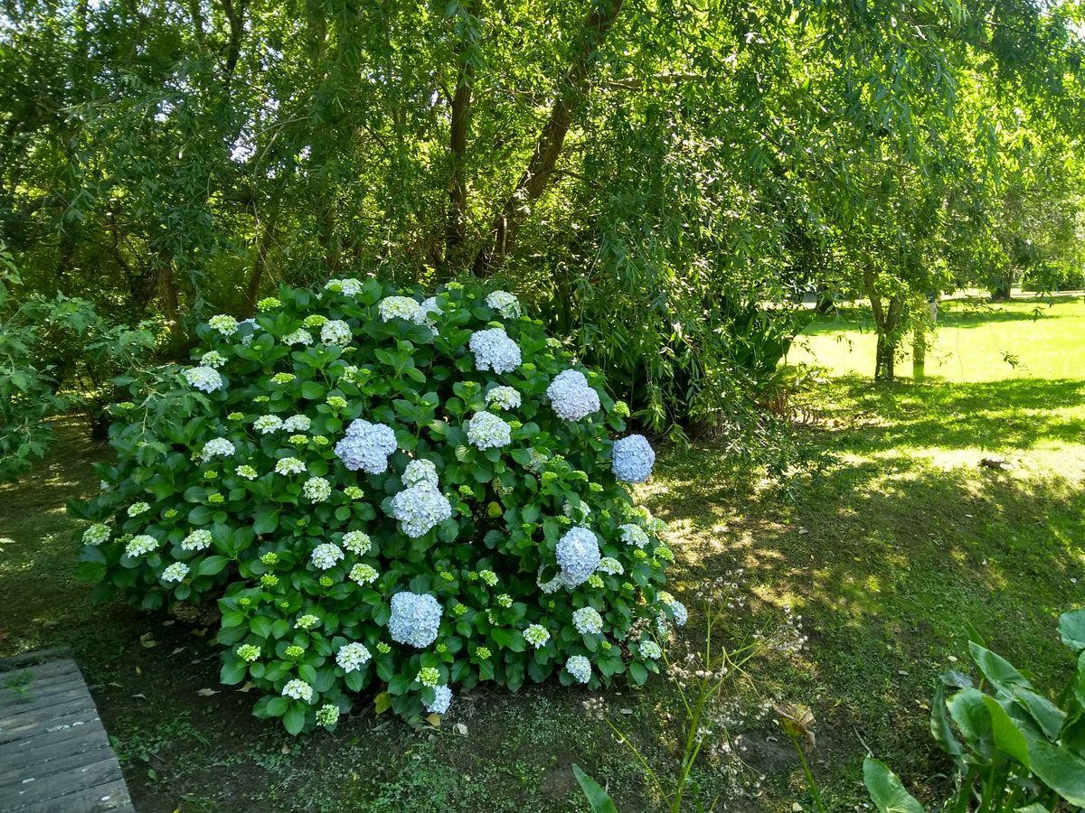 image 28