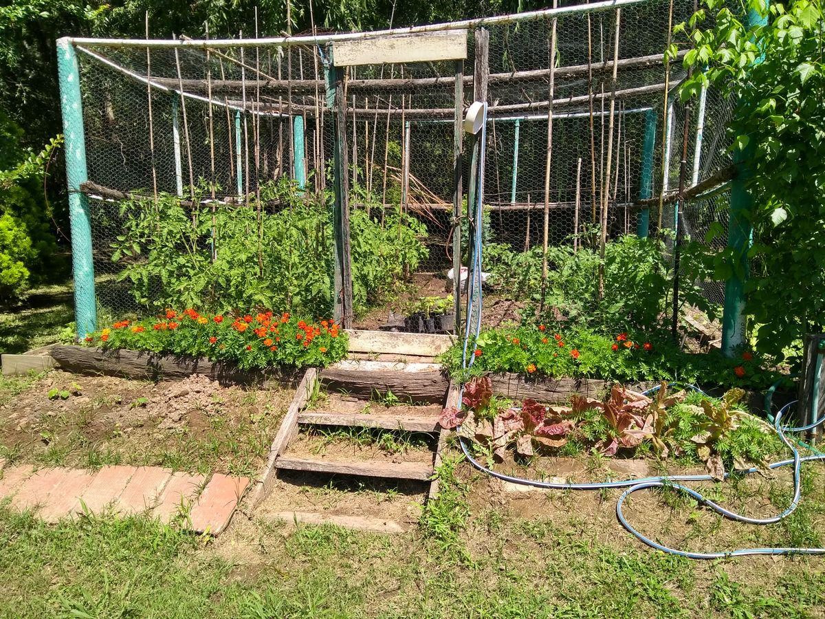 image 30