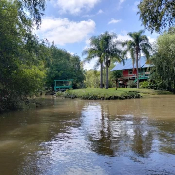 Casa Venta en Rio / Arroyo Arroyón   Barrio El Esloveno Miguel 0