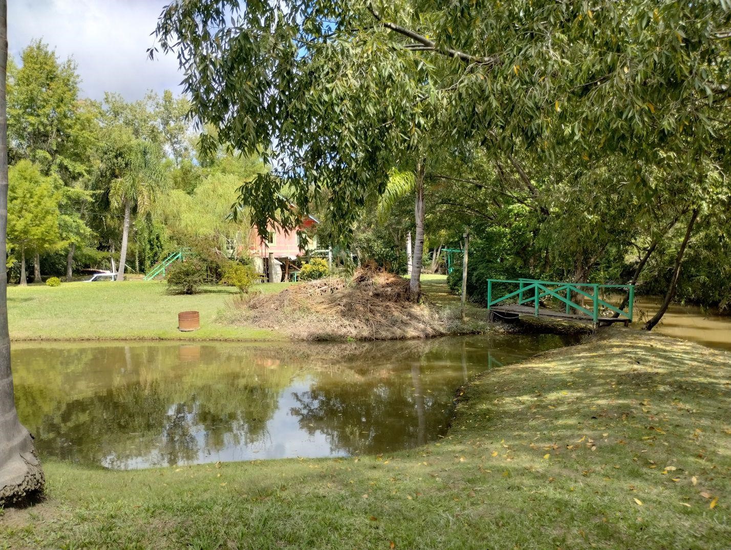 image 37