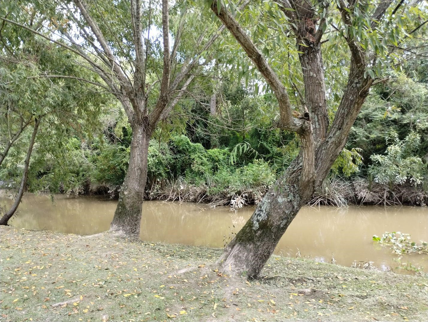 image 38