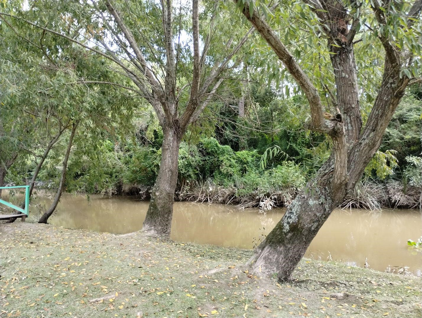 image 39