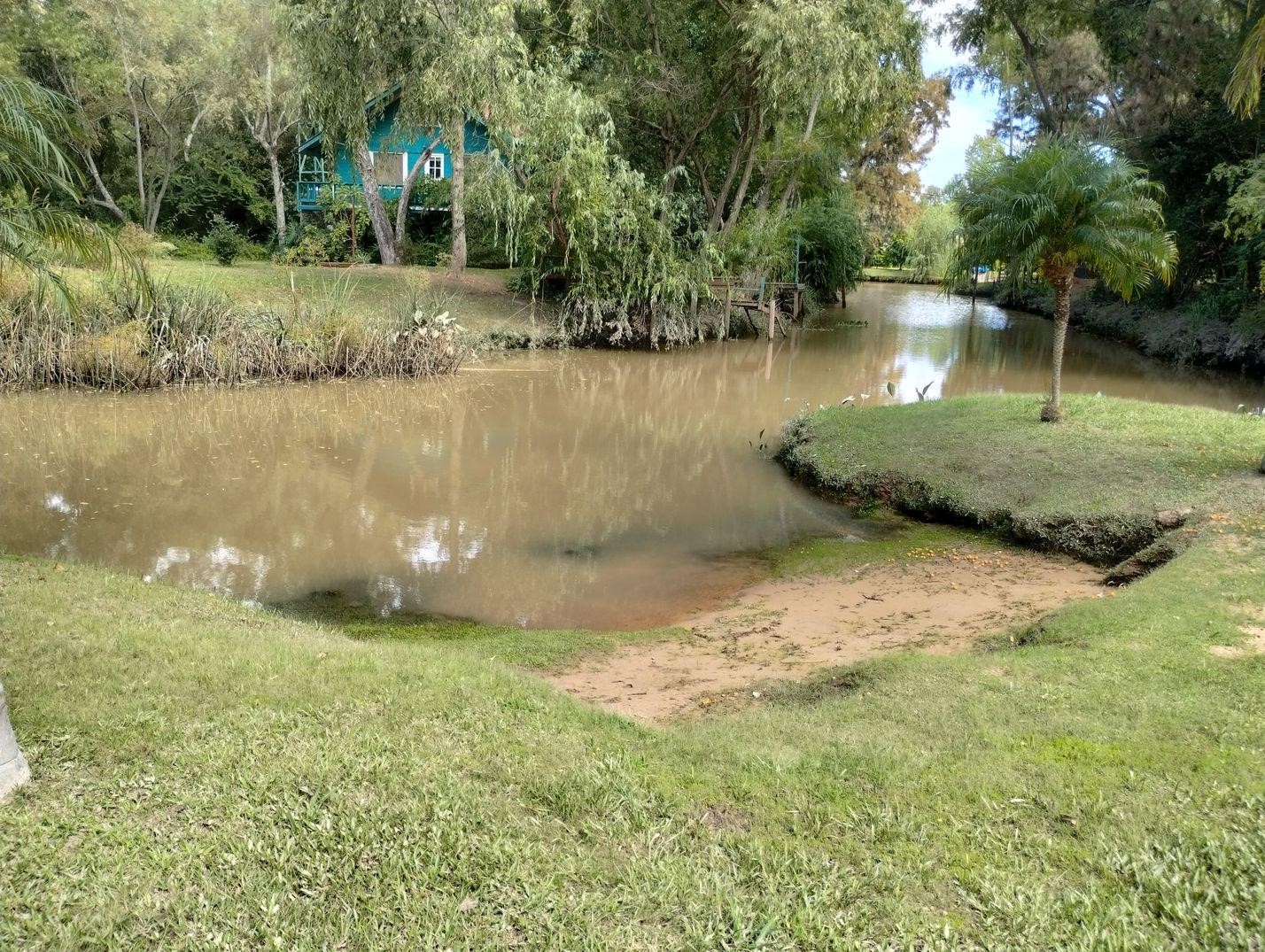 image 40