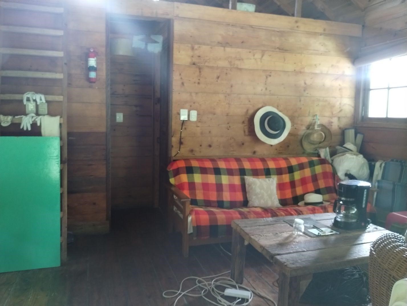 image 49