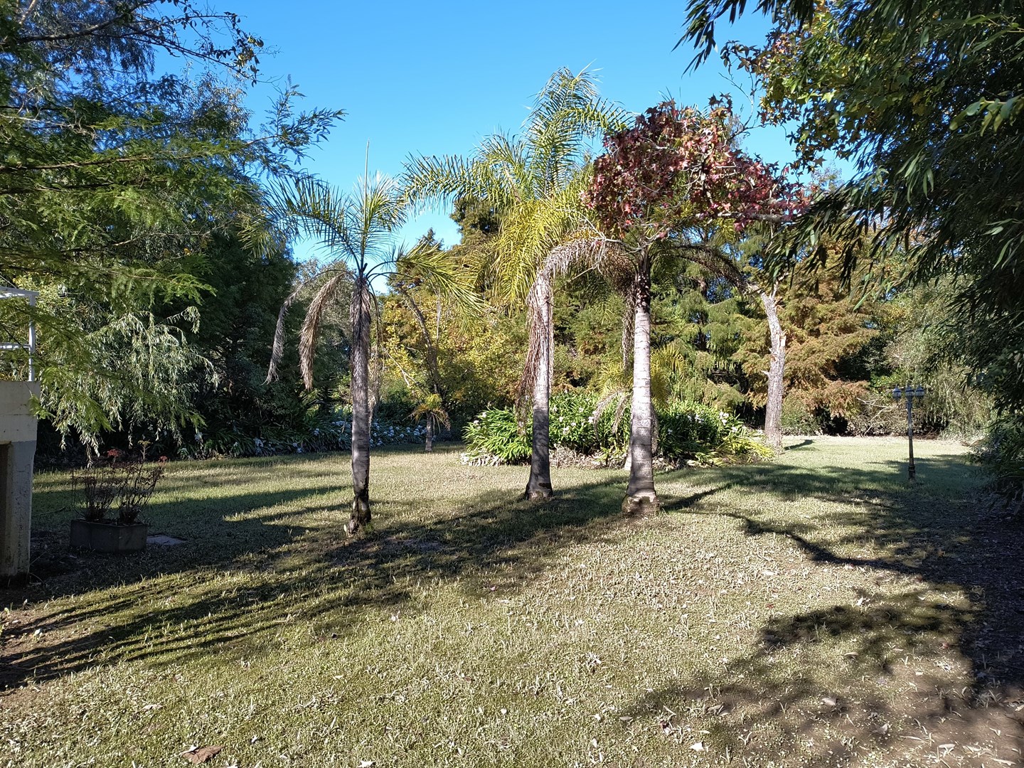 image 41