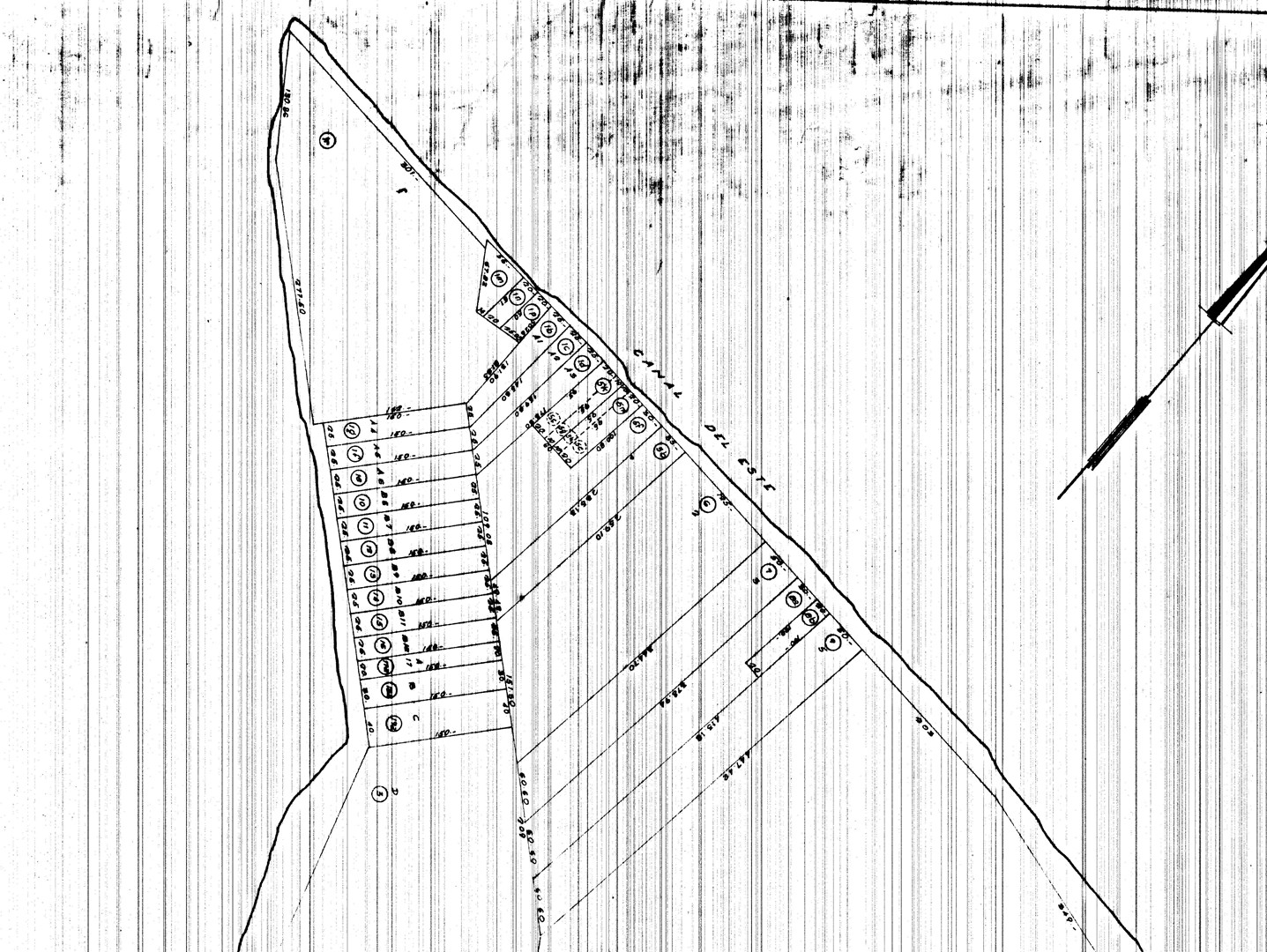image 46