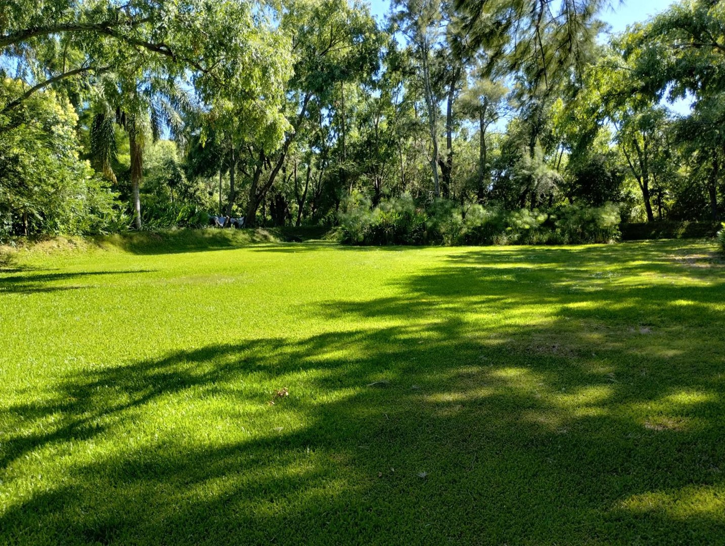 image 14