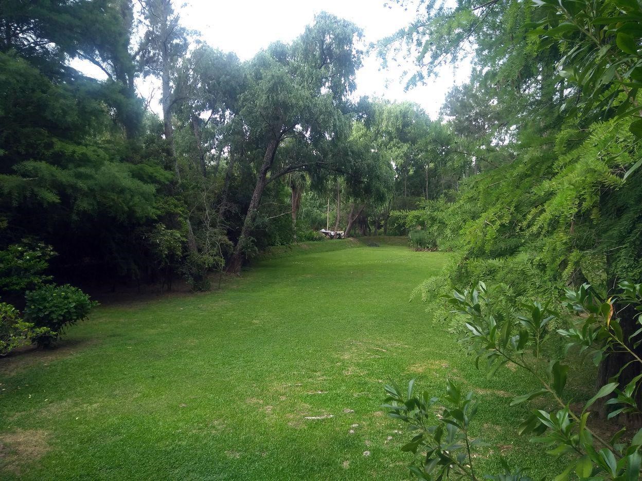 image 29