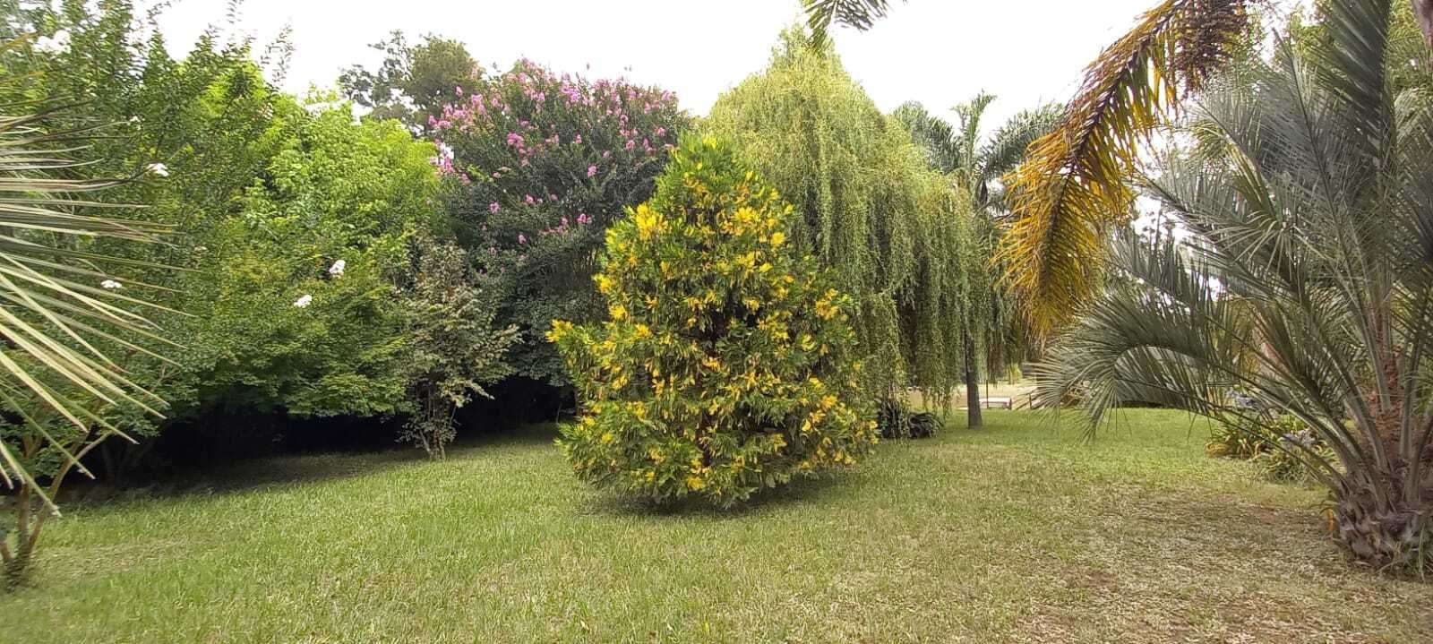 image 30