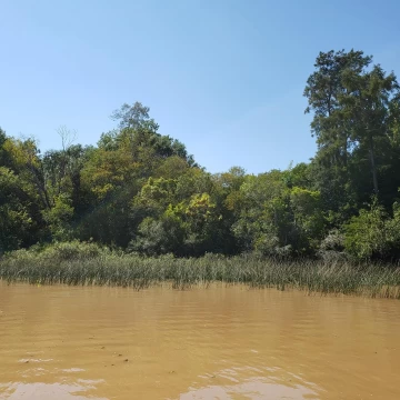 Terreno Venta en Rio / Arroyo Canal Arias Lote Katz 0