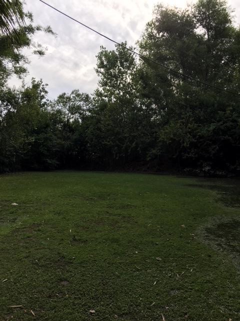 image 31