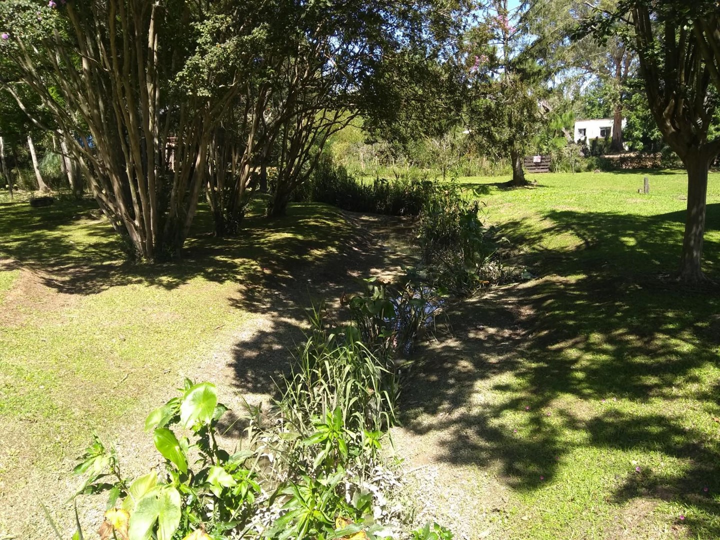 image 17