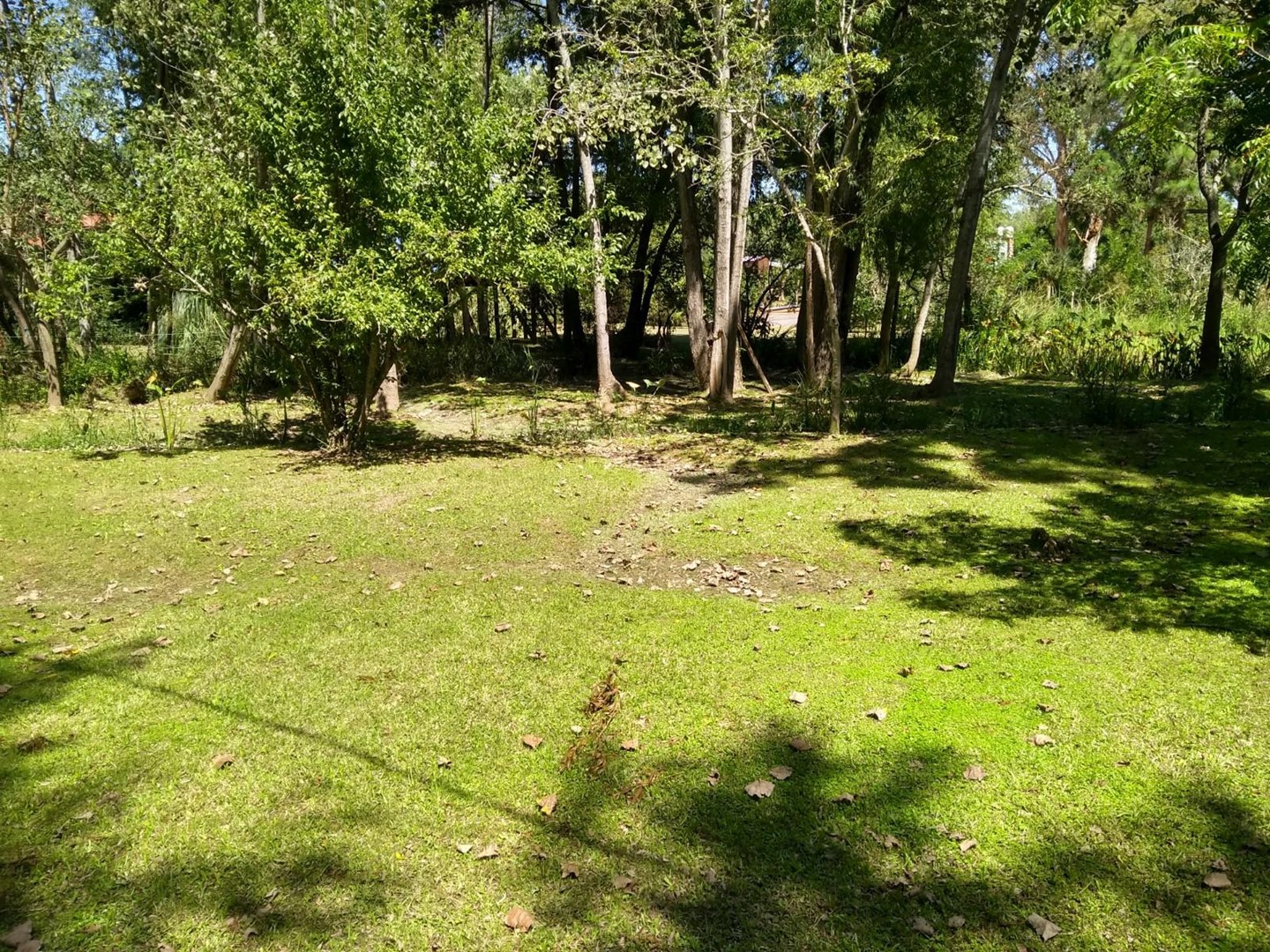 image 23