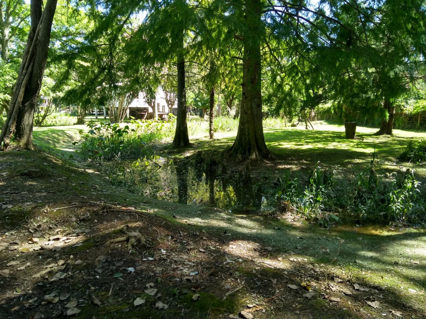 image 25