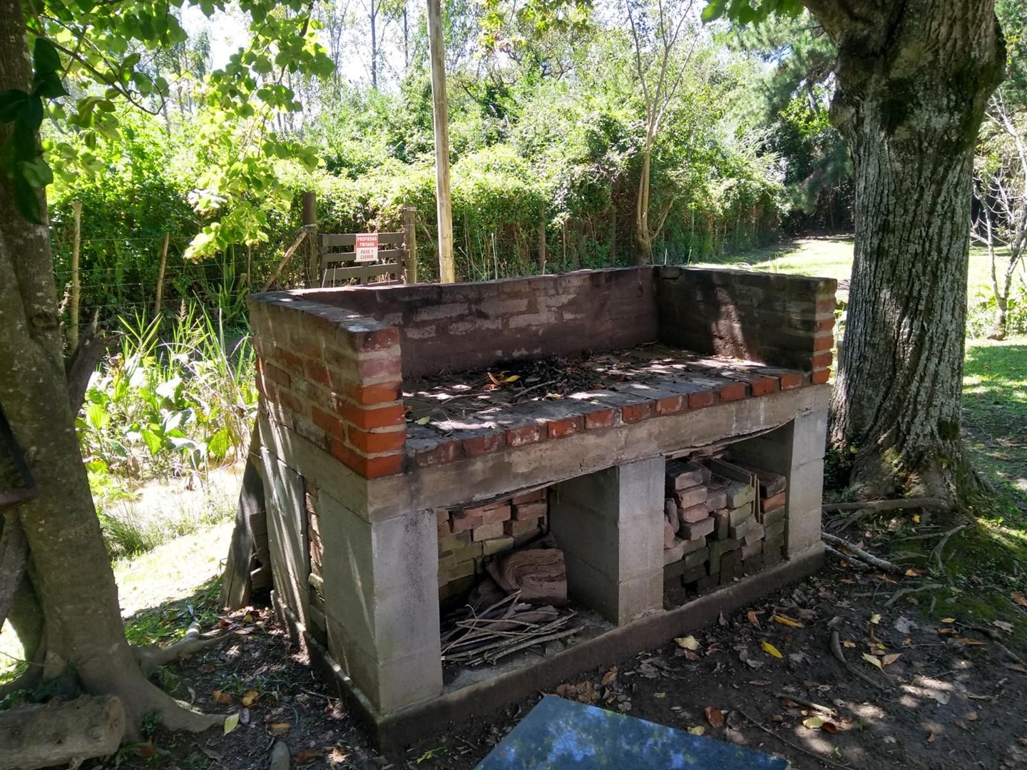 image 33
