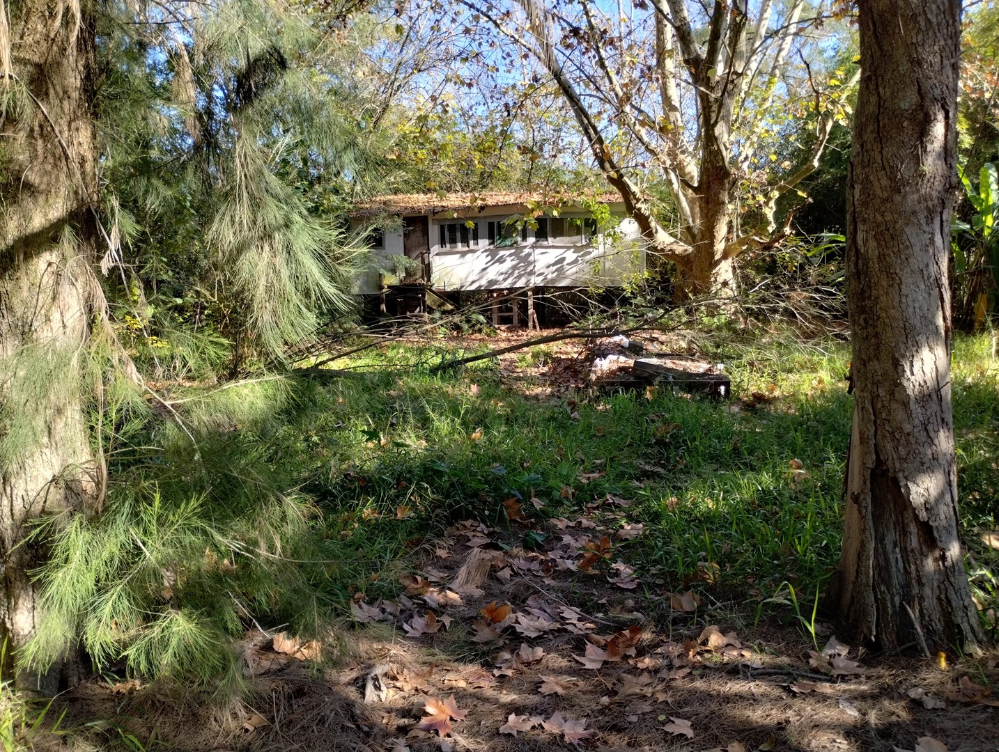 image 7