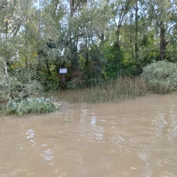 Terreno Venta en Rio / Arroyo Caraguatá  Ultimo lote tan cerca. 0