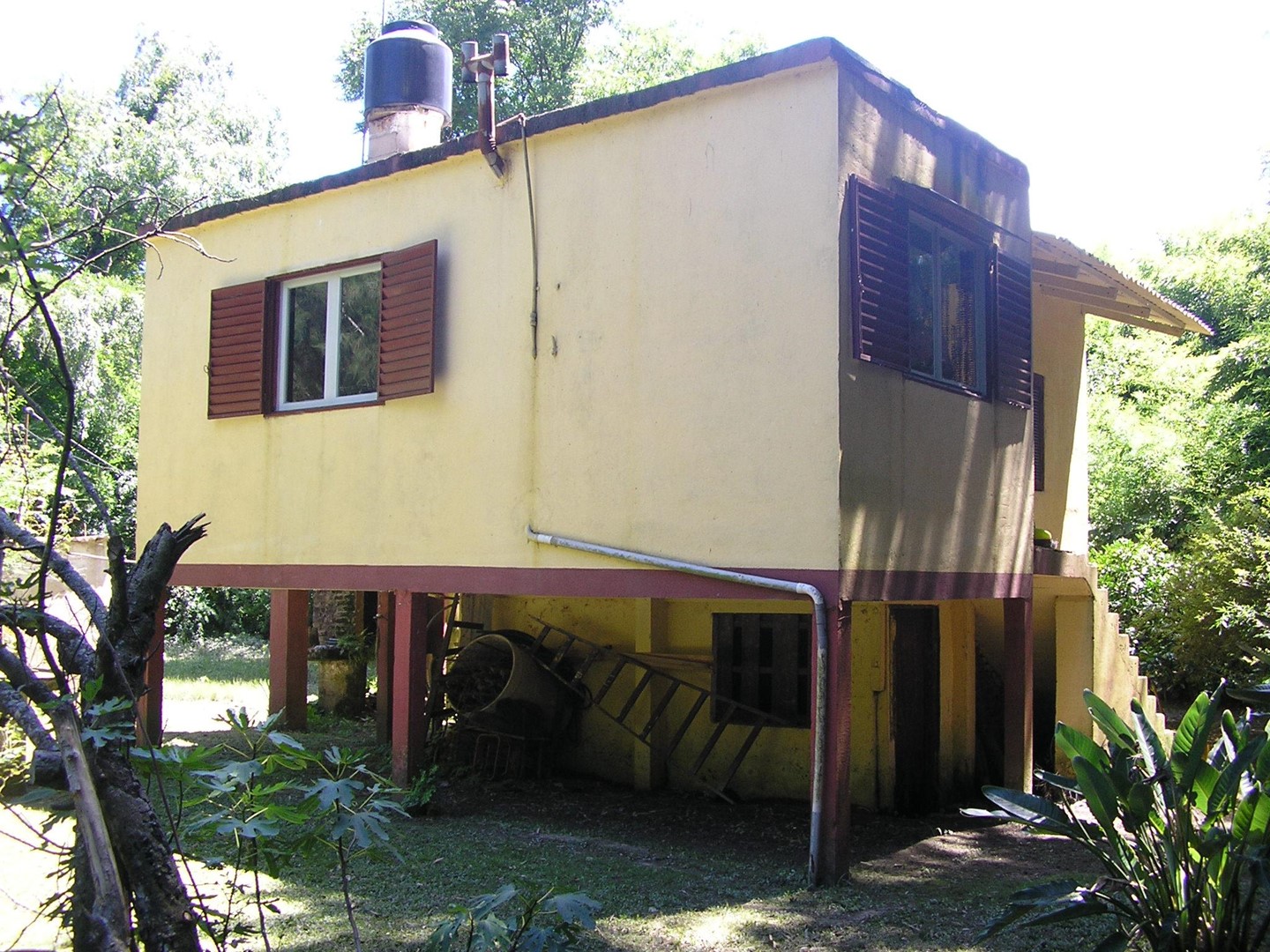 image 4