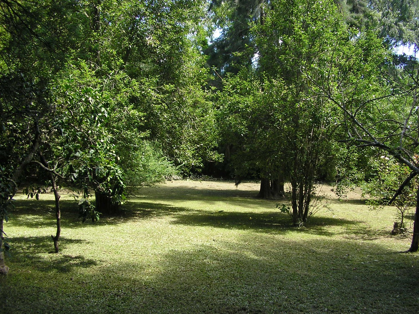 image 31