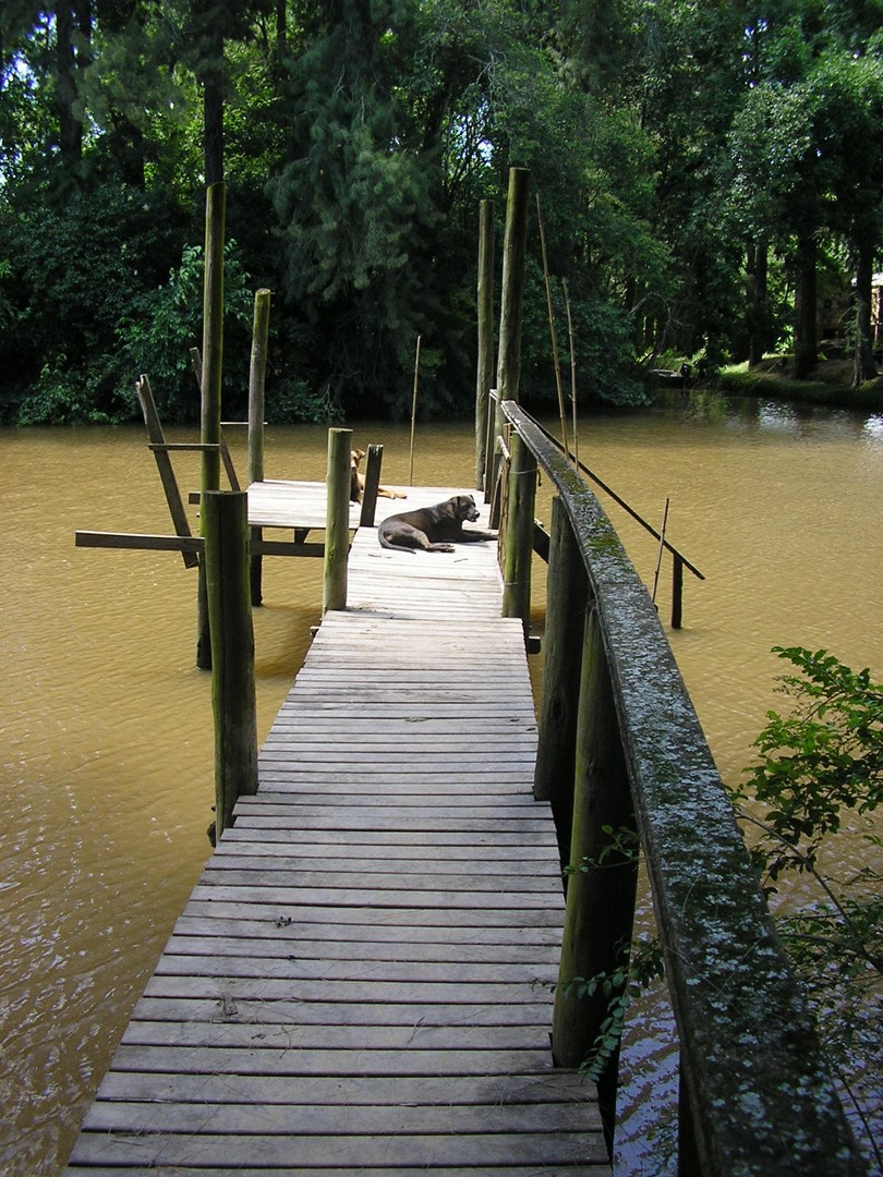 image 32