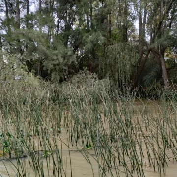 Terreno Venta en Rio / Arroyo Caraguatá 800