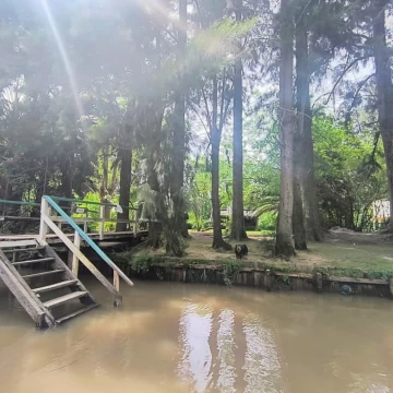 Casa Venta en Rio o Arroyo Caraguatá 1045 Kica 1000
