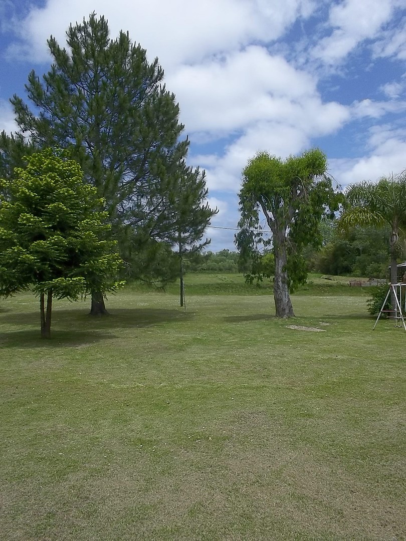 image 16