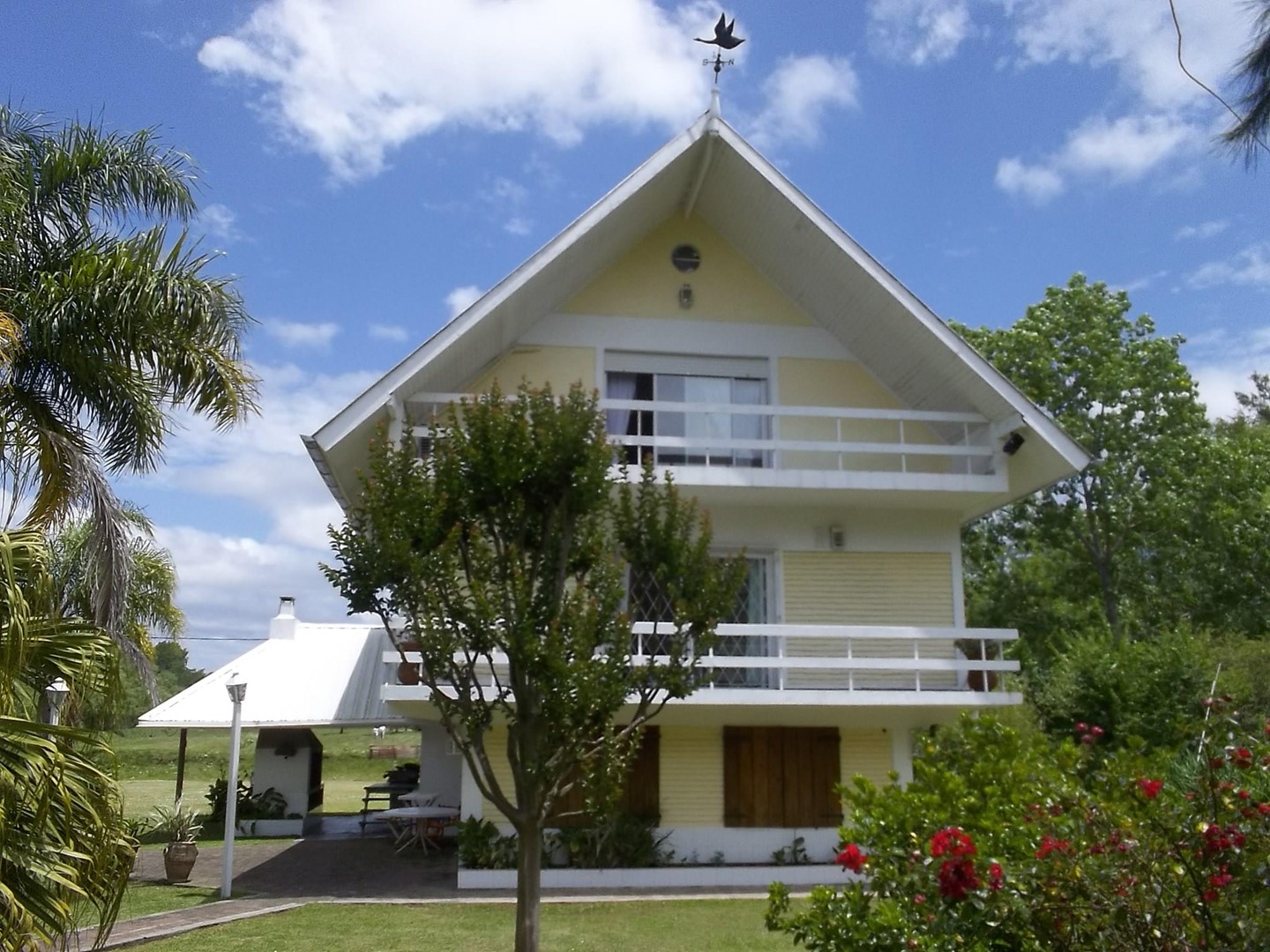 image 29