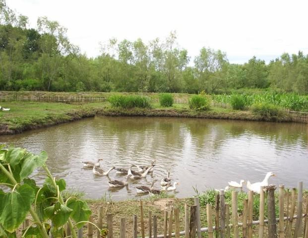 image 72