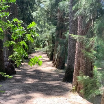 Terreno Venta en Rio / Arroyo Carapachay 0