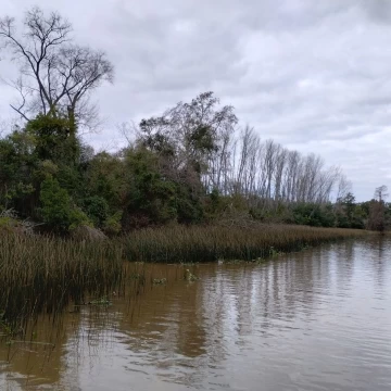 Casa Venta en Rio / Arroyo  Carapachay  KM 12 Chacras Náuticas 0