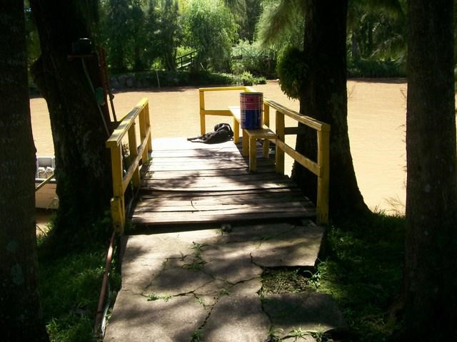 image 31