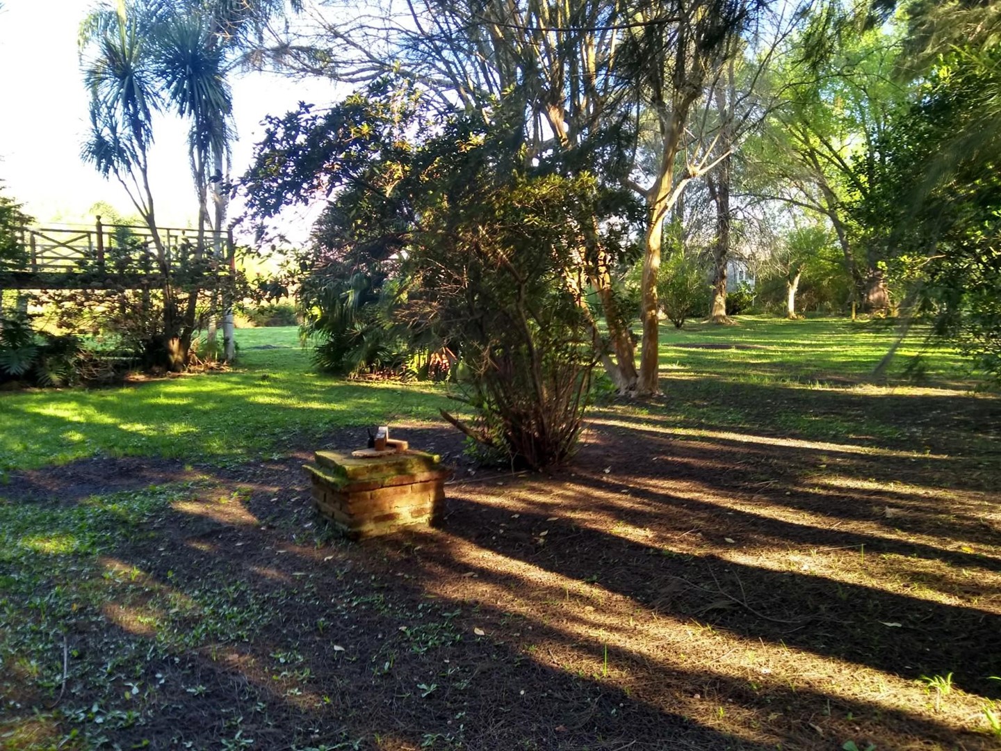 image 37